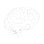 real logo png